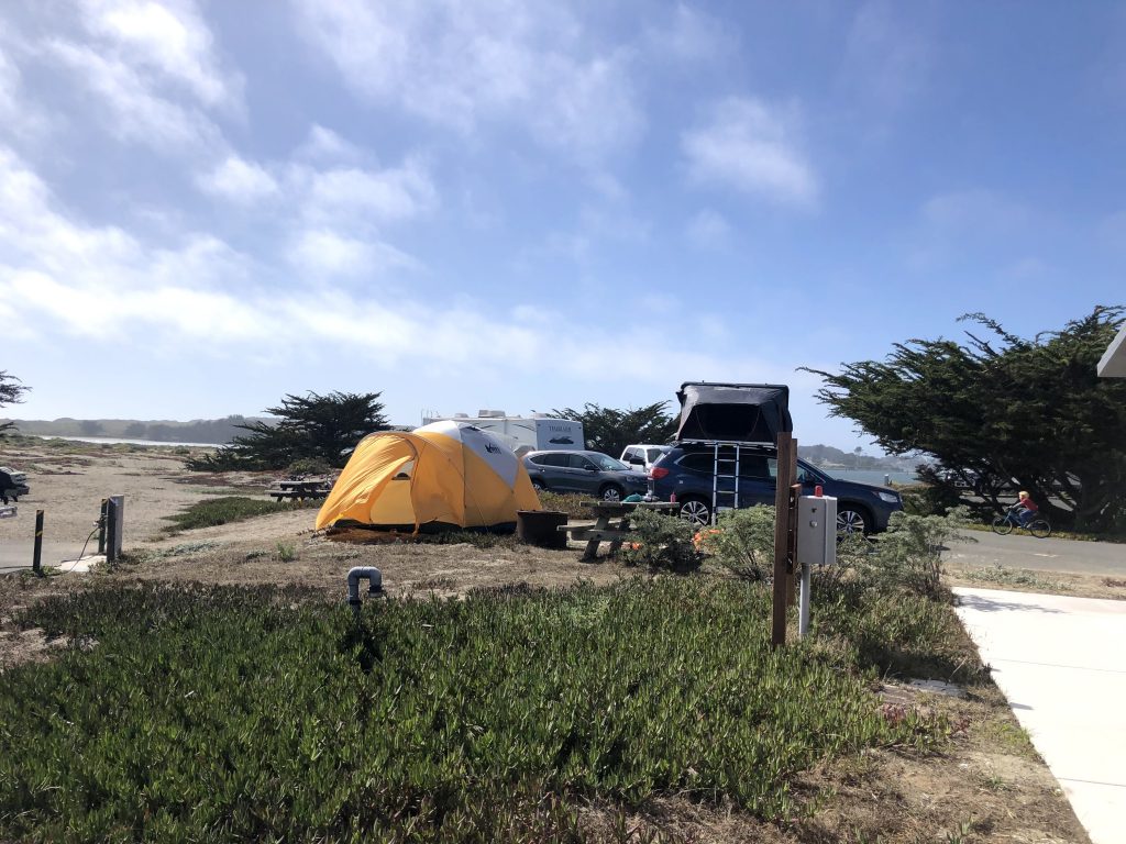 A rei tent near RV sites at Doran Beach Campground