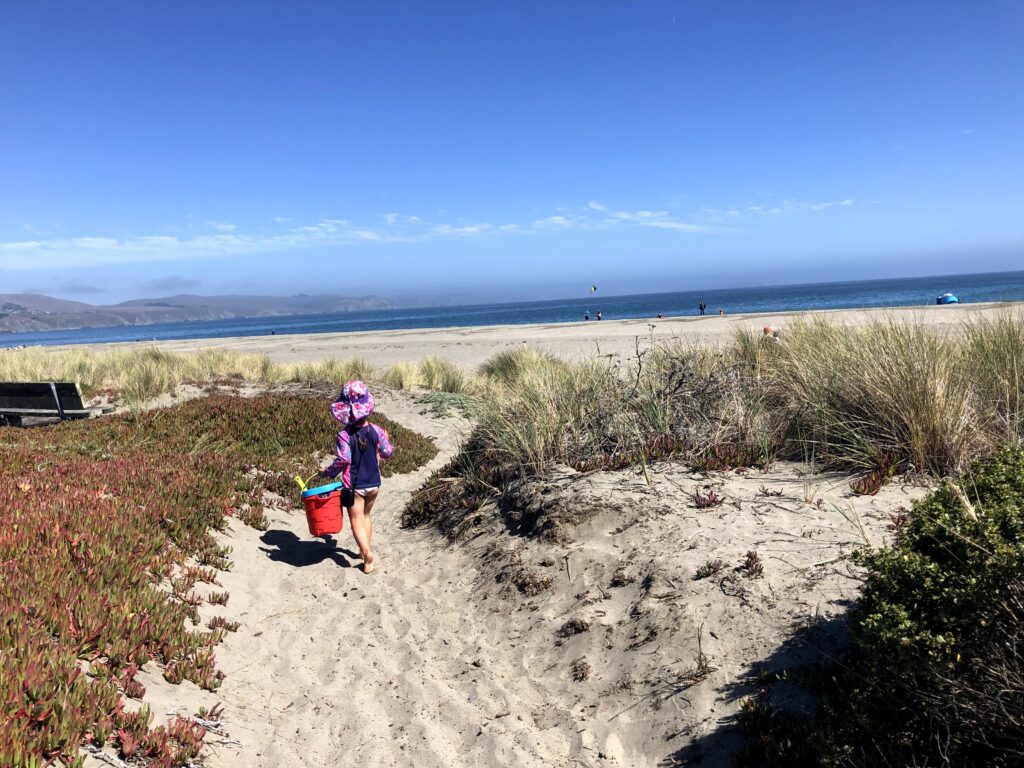 A child walking to Doran Beach in Bodega Bay with a bucket and sand toys