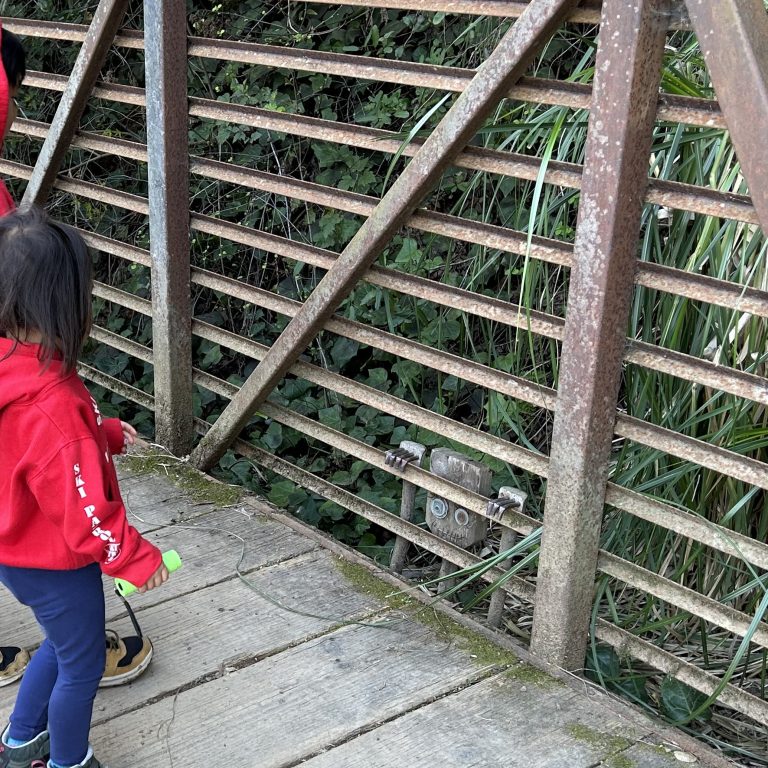 Find Magic Along the Bridgeview Troll Trail Hike in Oakland with your Kids