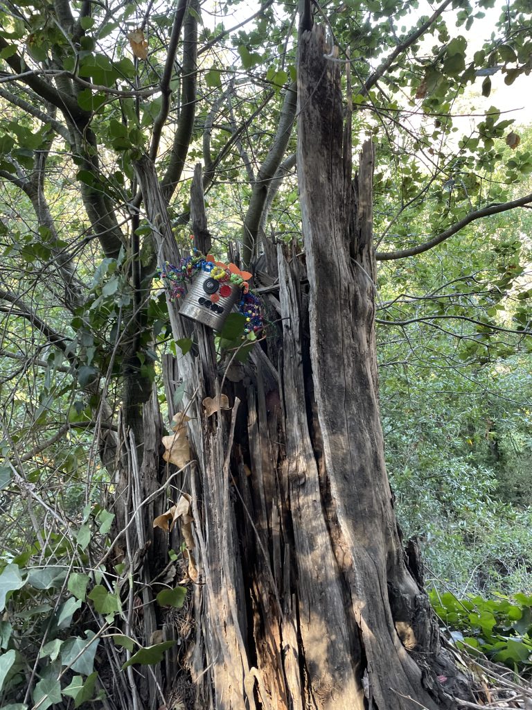 A face made out of a can on the Bridgeview Troll Hike in Oakland California