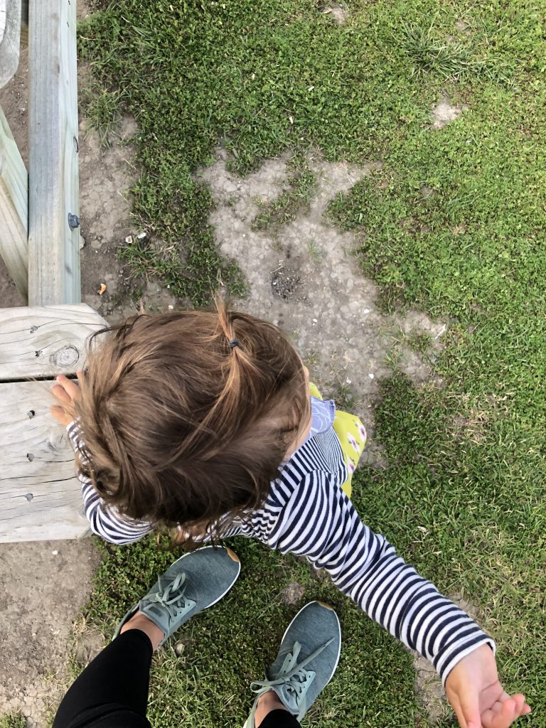The top of a child's head while walking through a Kaikoura crayfish farm