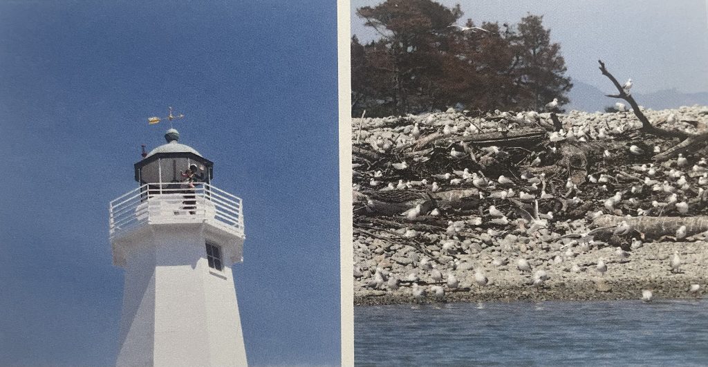 A woman and child at the top of the Boulder Bank Lighthouse in Nelson Tasman New Zealand