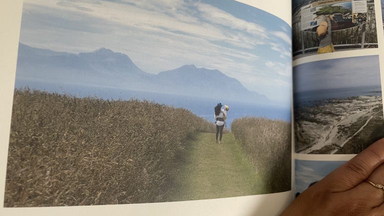 Kaikōura Family Adventures: A Guide to Fun and Exploration in New Zealand