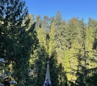The Capilano Suspension Bridge in shade with sunlit trees on both sides in Vancouver BC